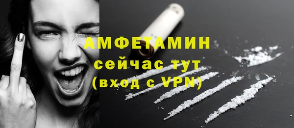 молекула духа Сосновый Бор