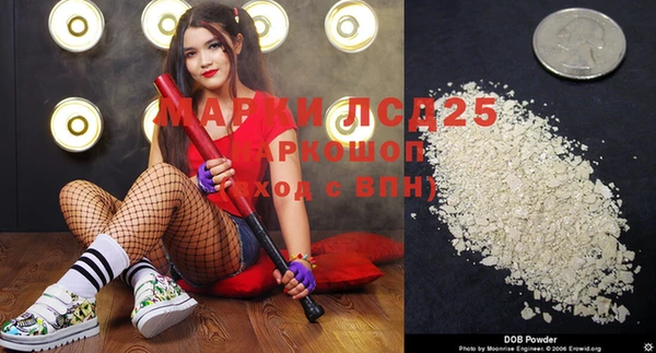 молекула духа Сосновый Бор