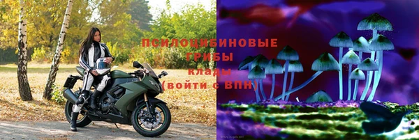 герыч Снежногорск