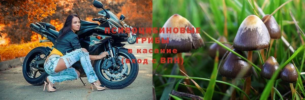 герыч Снежногорск